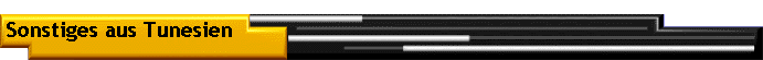 Sonstiges aus Tunesien